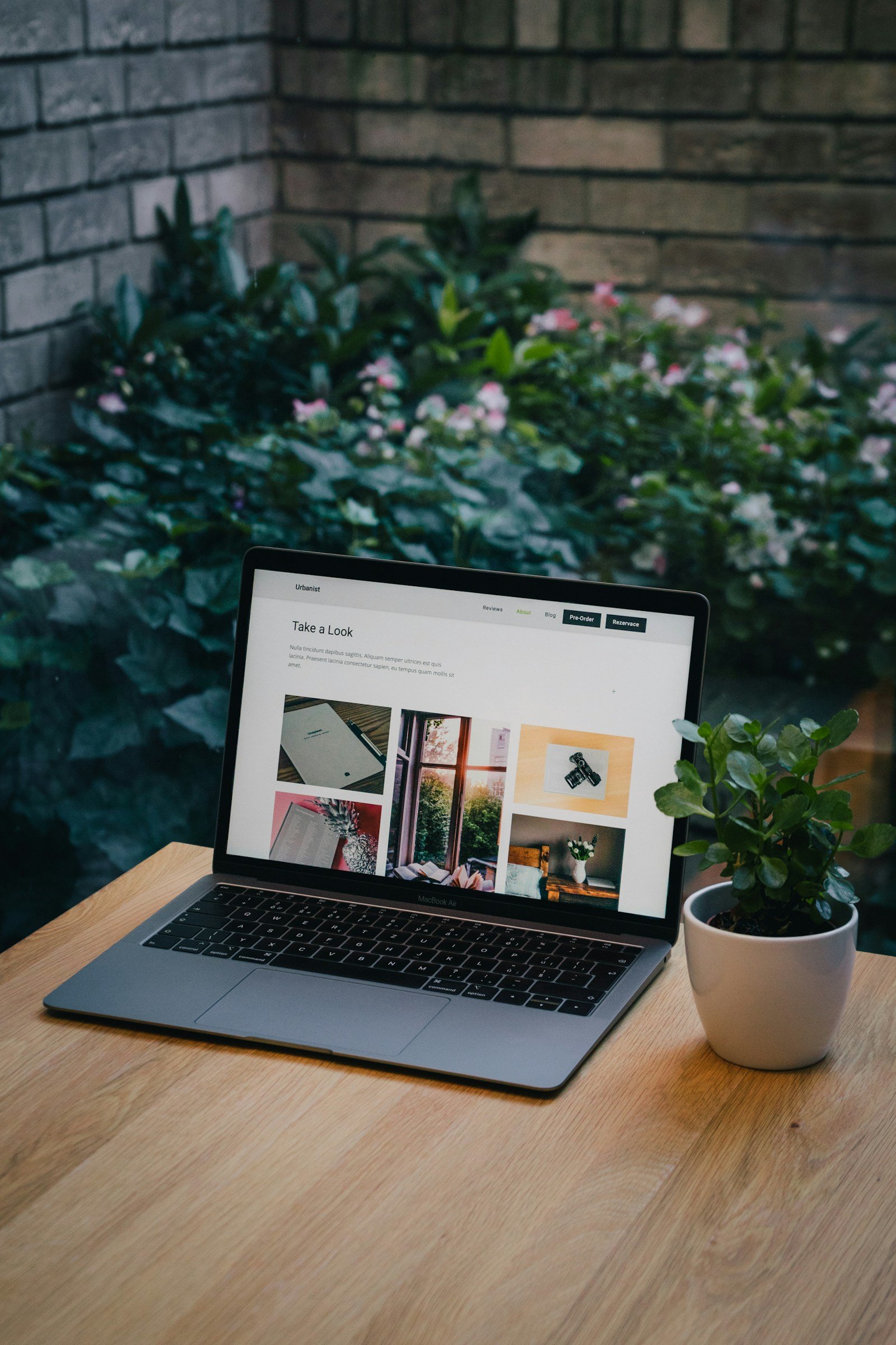 slow WordPress admin guide for business websites