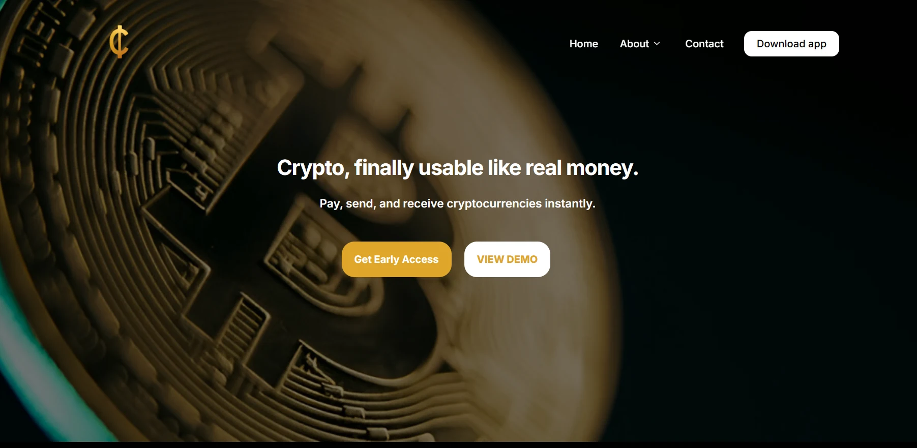 Circuit ecommerce website project by Site Bloomy